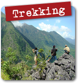 Trekking