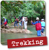 Trekking Trekking